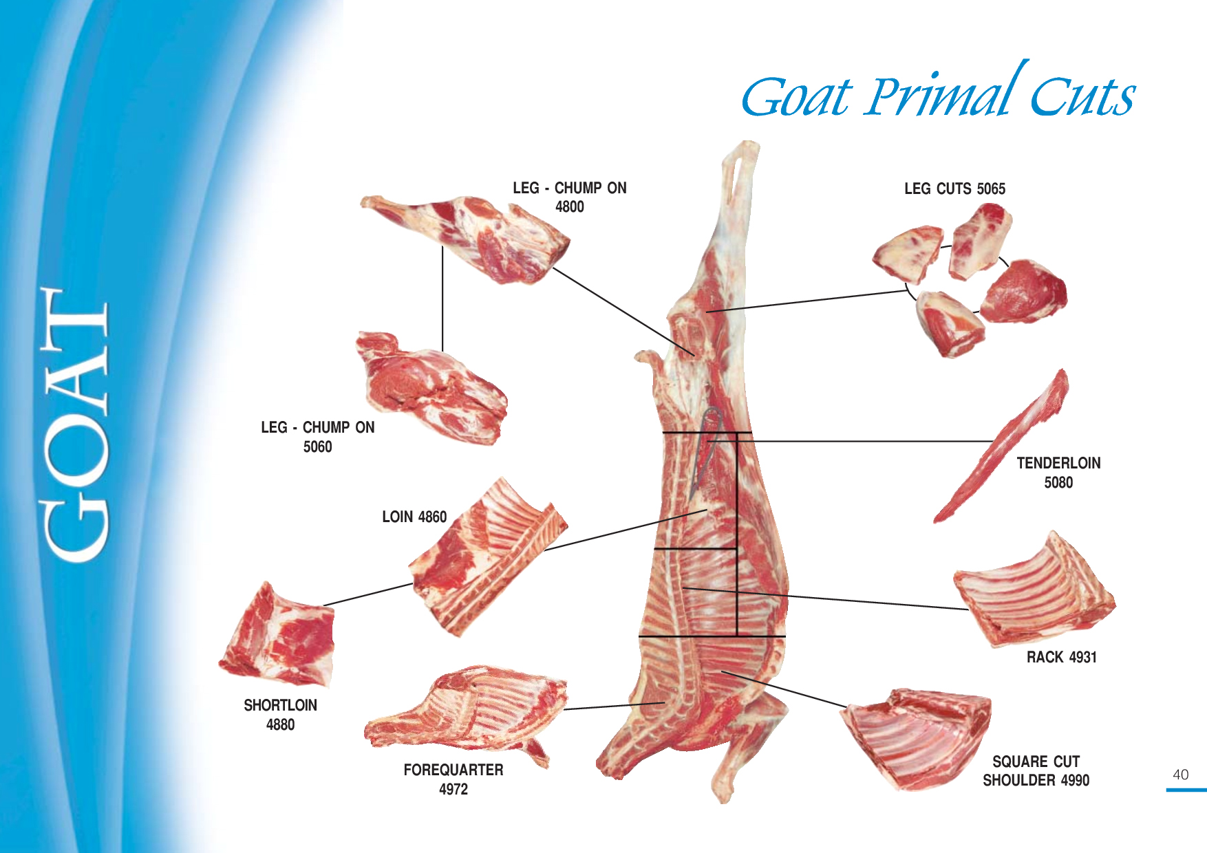 collins-wholesale-meats-qld-goat