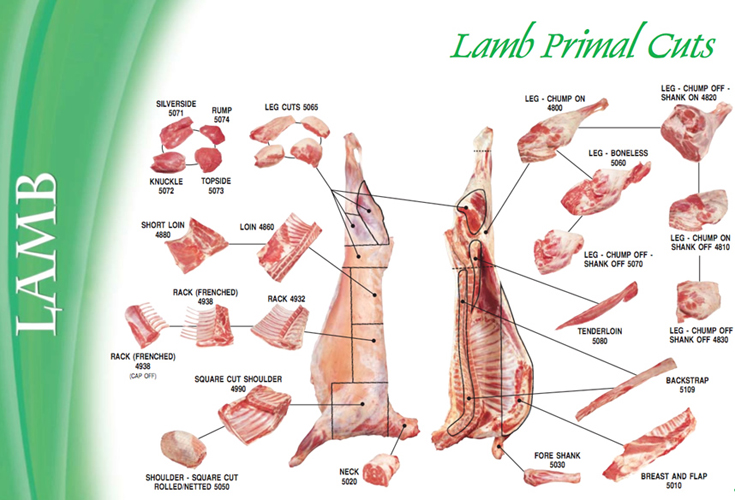 Lamb Primal Cuts